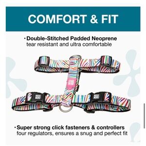 Max and Molly XS Magic Zebra Dog H-Harness